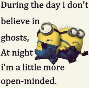 Make Me Laugh Wednesday: Minion Madness - Chris Cannon