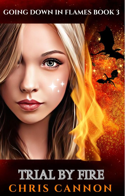 Trial By Fire (Going Down In Flames Book 3)