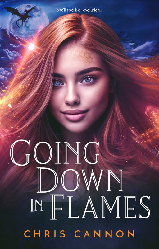 Going Down in Flames (Book 1)